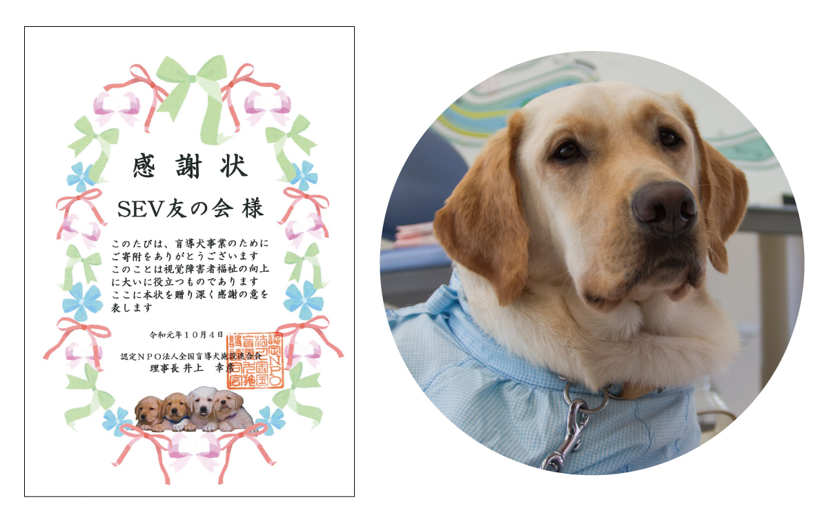 CSR活動:盲導犬育成事業への継続的な応援について